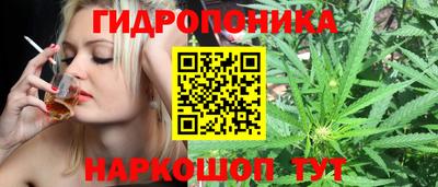 крисы Среднеуральск